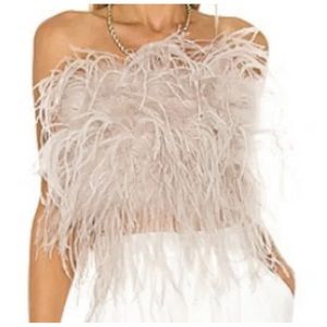 Lamarque Zaina Feather Crop Top Size: Large Dusty Rose New With Tags